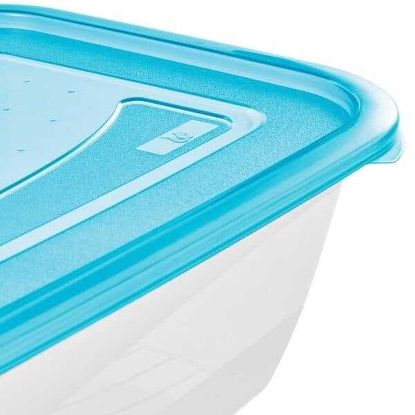 Lot de 2 Boîtes de conservation congélation 3,3 litres KEEEPER