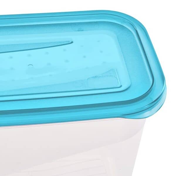 Lot de 3 Boîtes de conservation congélation 1 l fredo fresh KEEEPER
