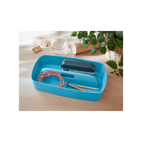 Organiseur avec poignée pour boîte My Box Cosy Leitz