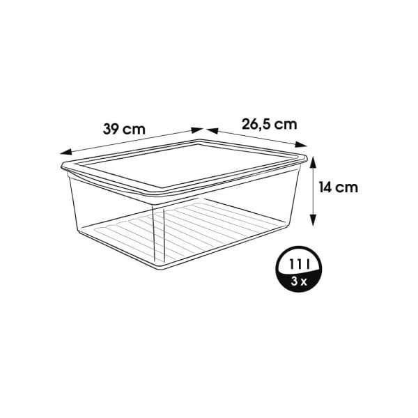 Lot de 3 boîtes de rangement Chaussures 11 litres