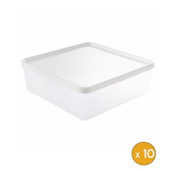 10 Boîtes Alimentaires hermétiques carrées 2,5 litres